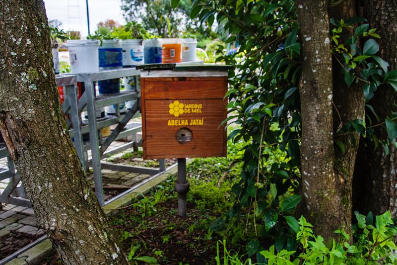 Jardins de Mel têm o objetivo de conscientizar a população sobre a importância das abelhas para o equilíbrio da biodiversidade do planeta. Foto: Levy Ferreira/SMCS