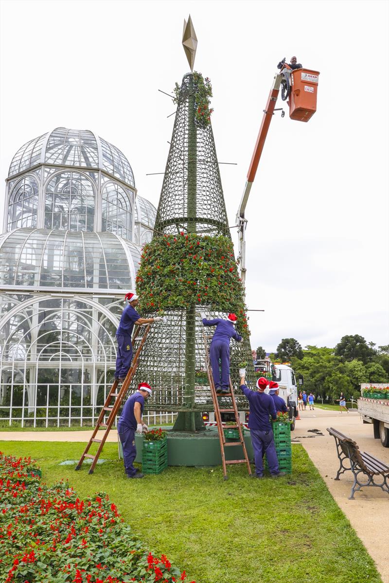 Árvore de Natal do Jardim Botânico de Curitiba ganha vida com cinco mil flores. Curitiba, 20/11/2023. Foto: Hully Paiva/SMCS