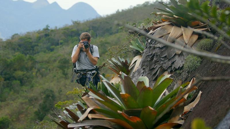 Biocêntricos: documentário premiado será lançado na Cinemateca de Curitiba